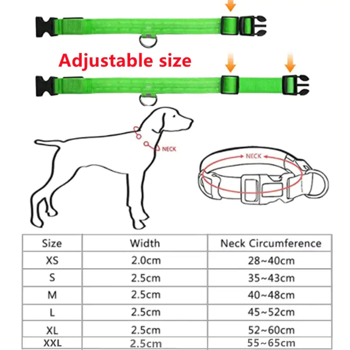 LED Glowing Adjustable Pet Collar