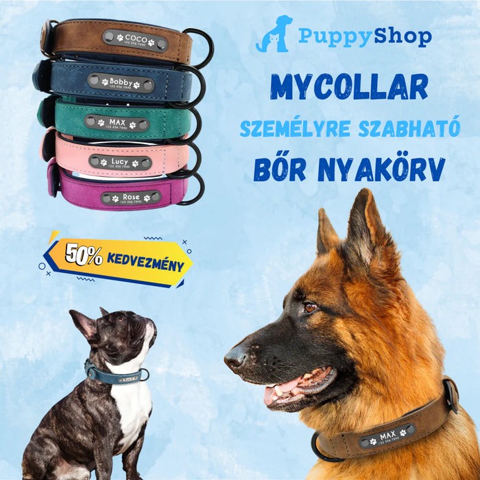 MyCollar - Személyre Szabható Bőr Nyakörv