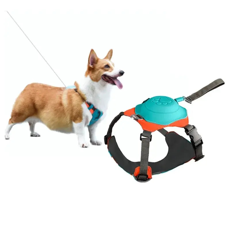 Dog Harness and Jacket