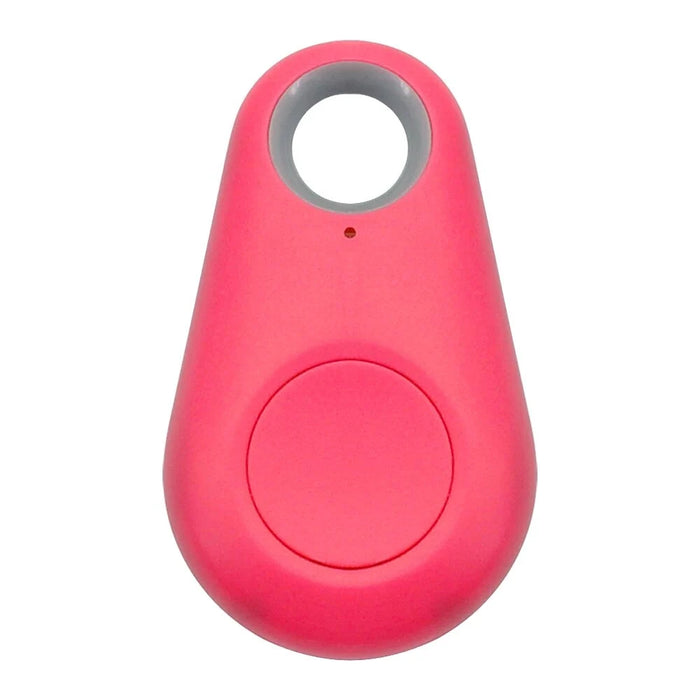 Pet Smart GPS Tracker