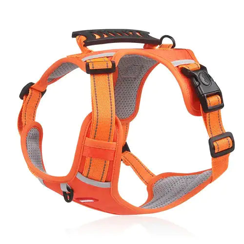 Dog Walking Harness