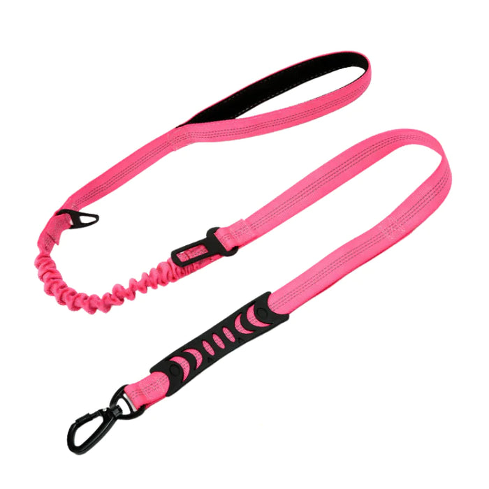 PuppHub Signature Leash