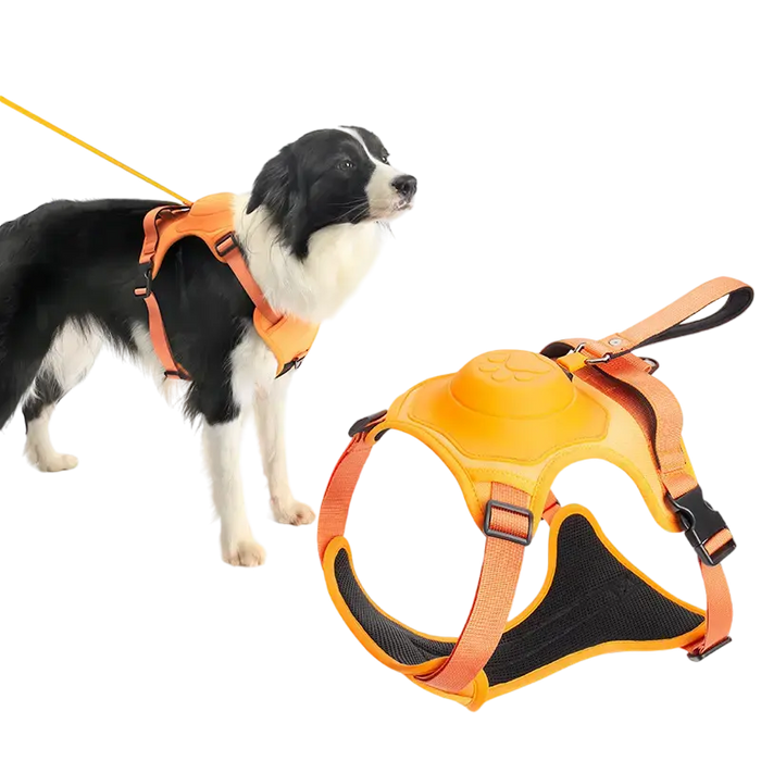 Comfy Walk Harness And Leash