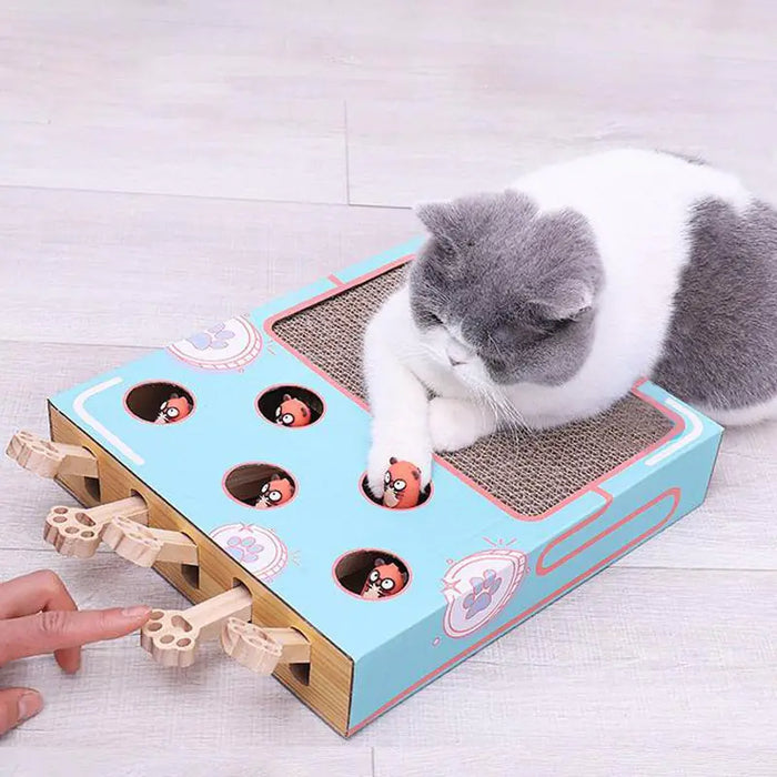 Interactive Cat Teaser Toy