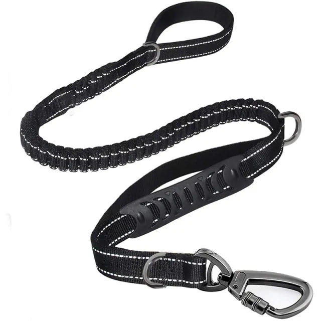 Reflective Dog Leash