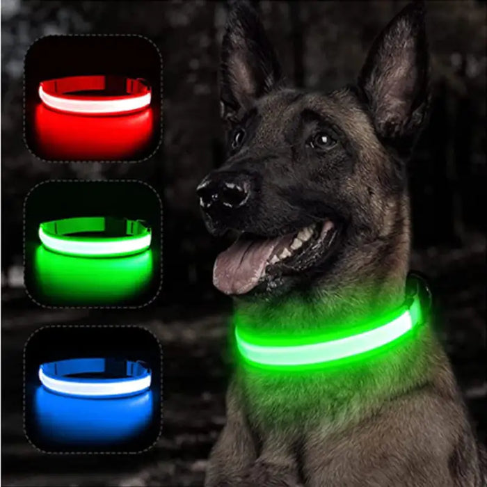 LED Glowing Adjustable Pet Collar