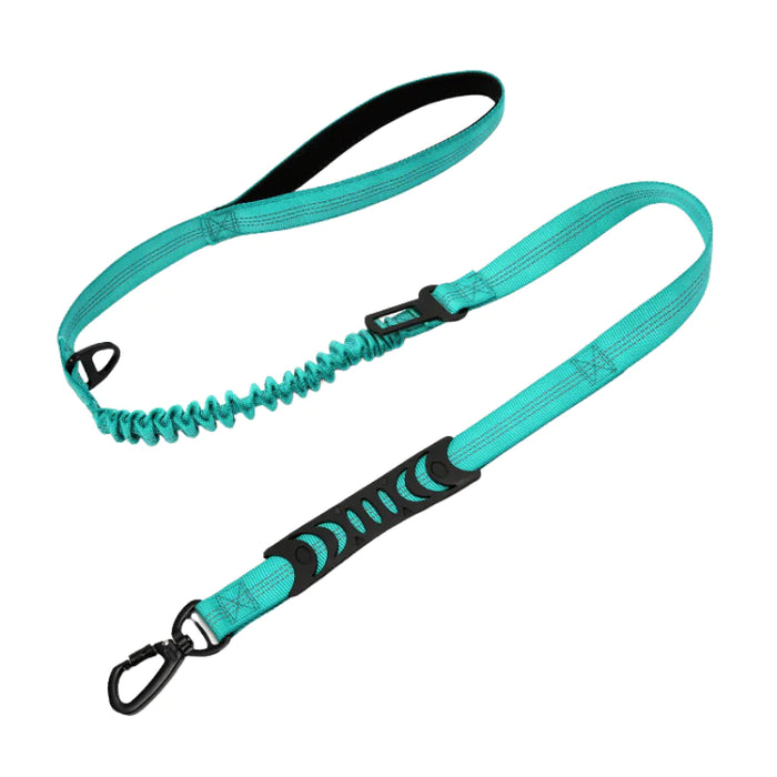 PuppHub Signature Leash