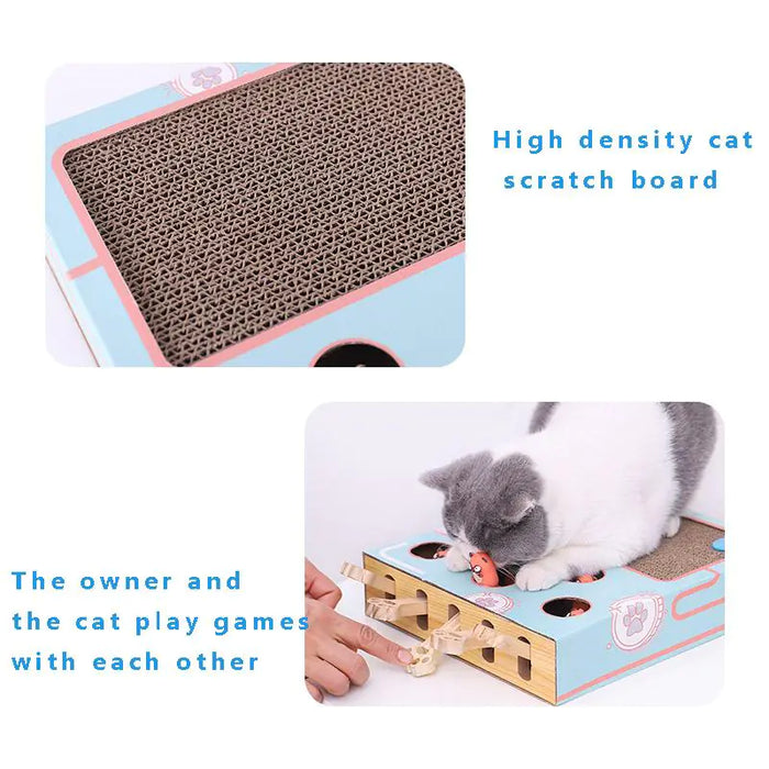 Interactive Cat Teaser Toy