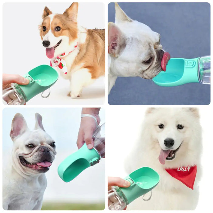 Drinking Bottle Dogs Feeder