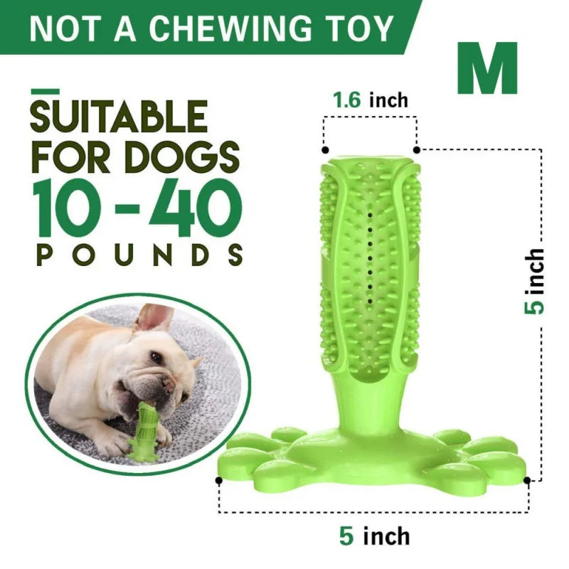 Dog Toy