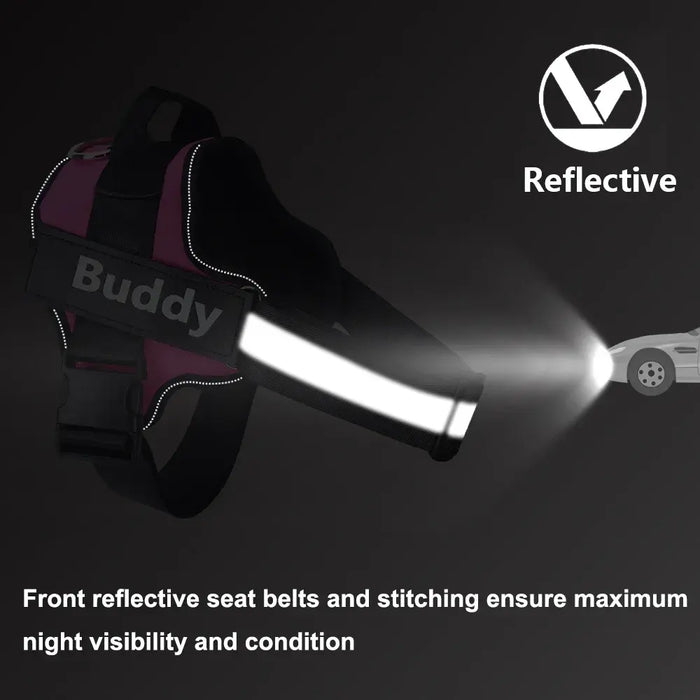 Personalized Reflective No-Pull Harness