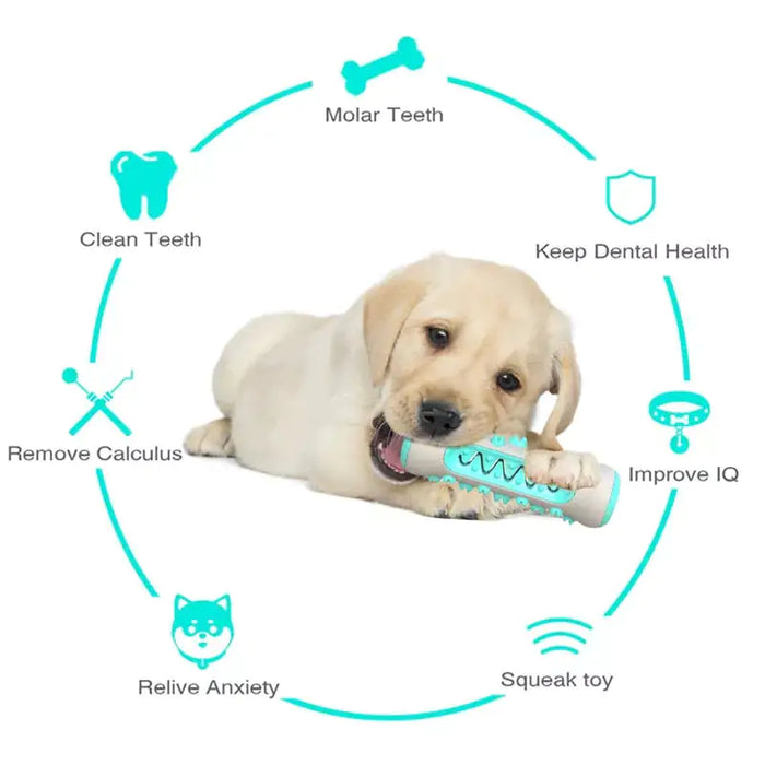 Dog Toothbrush & Anti-Stress Combo