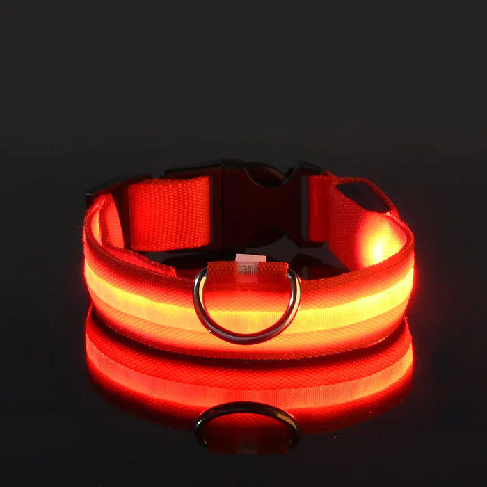 LED Glowing Adjustable Pet Collar