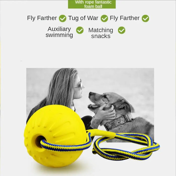 Dog Training Ball on Rope