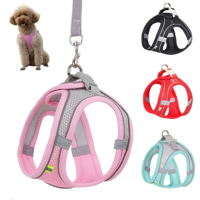 Harness Leash Set for Dogs