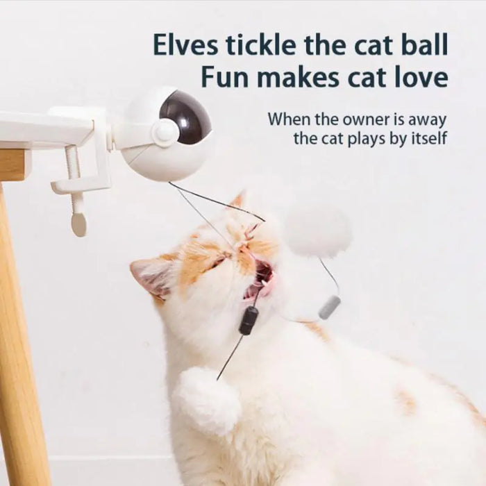 Electric Cat Toy Lifting Ball