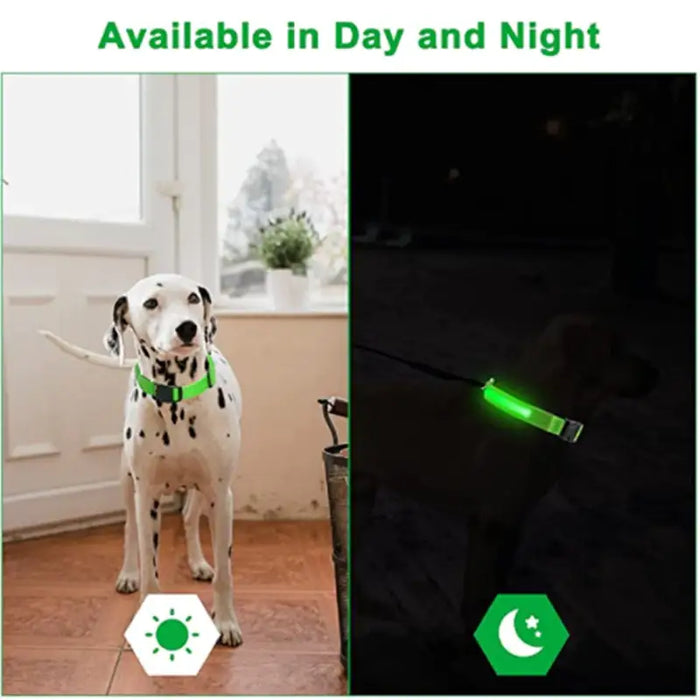 LED Glowing Adjustable Pet Collar