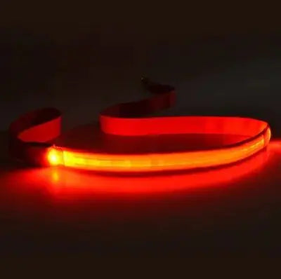 LED Dog Leash Rope