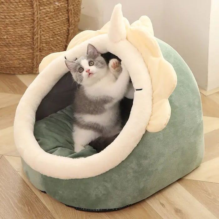 Ultimate Comfort for Your Feline Friend