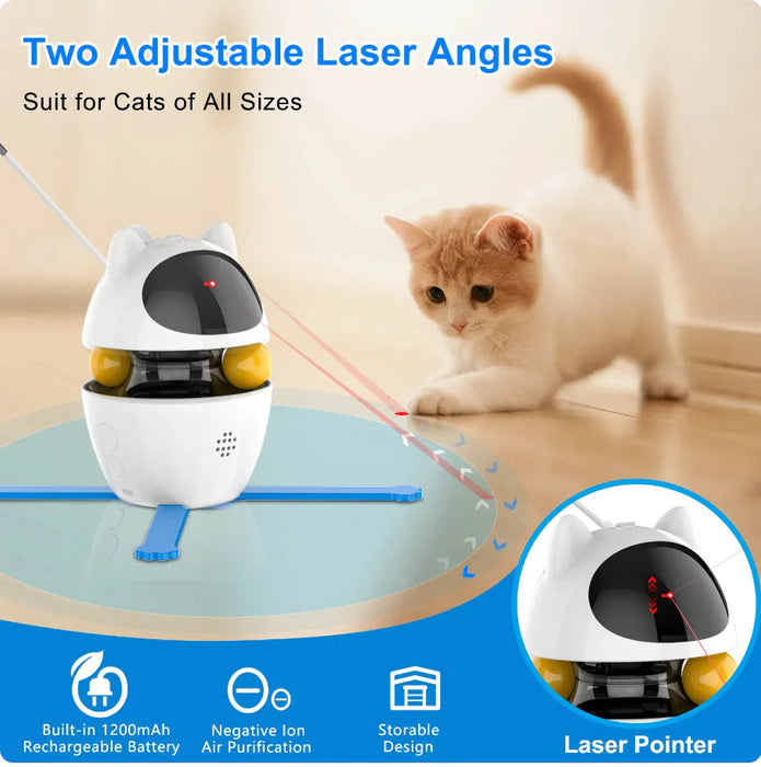 Multifunctional Interactive Cat Toy