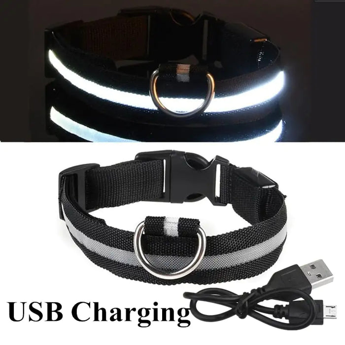 Adjustable LED Glowing Pet Collar