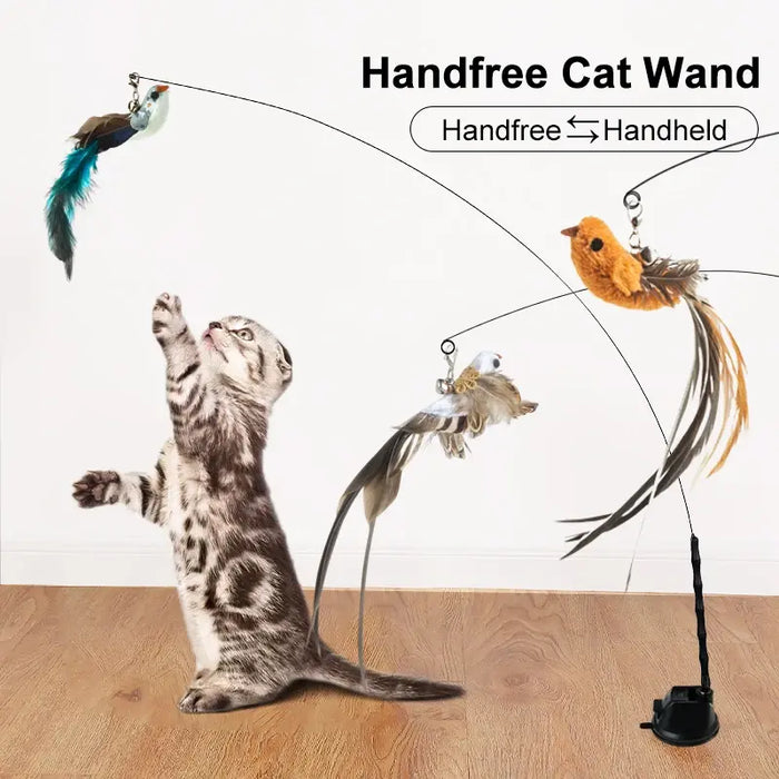 Interactive Toys for Cats