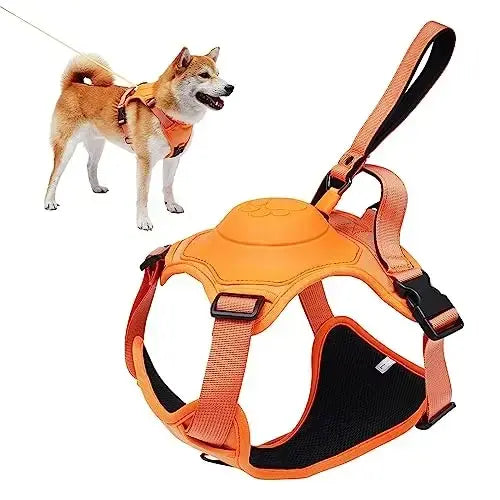 All-in-One Dog Harness & Retractable Leash