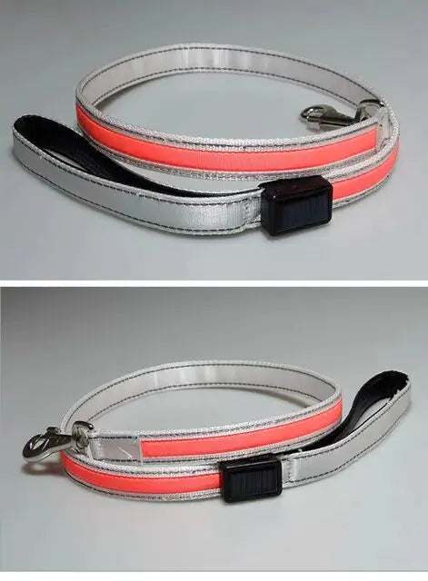 LED Flashing Waterproof Dog Leash